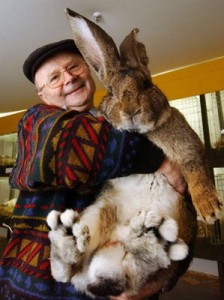 Giant Bunny Hug